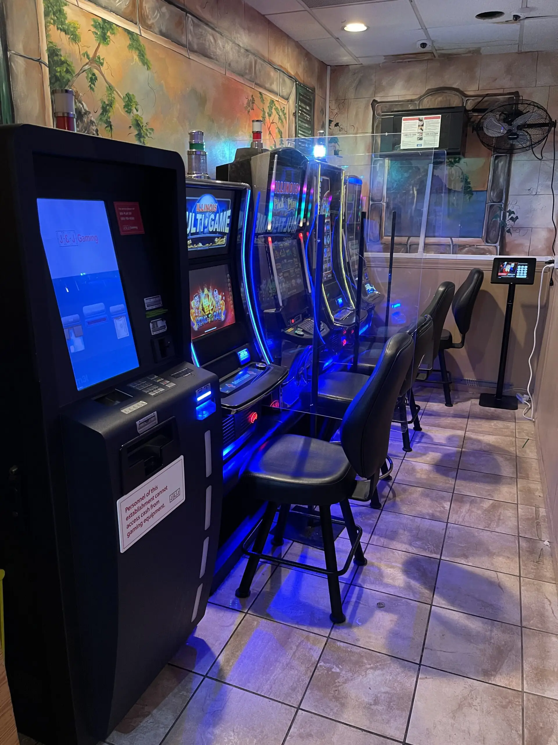 Video Gaming in Tinley Park