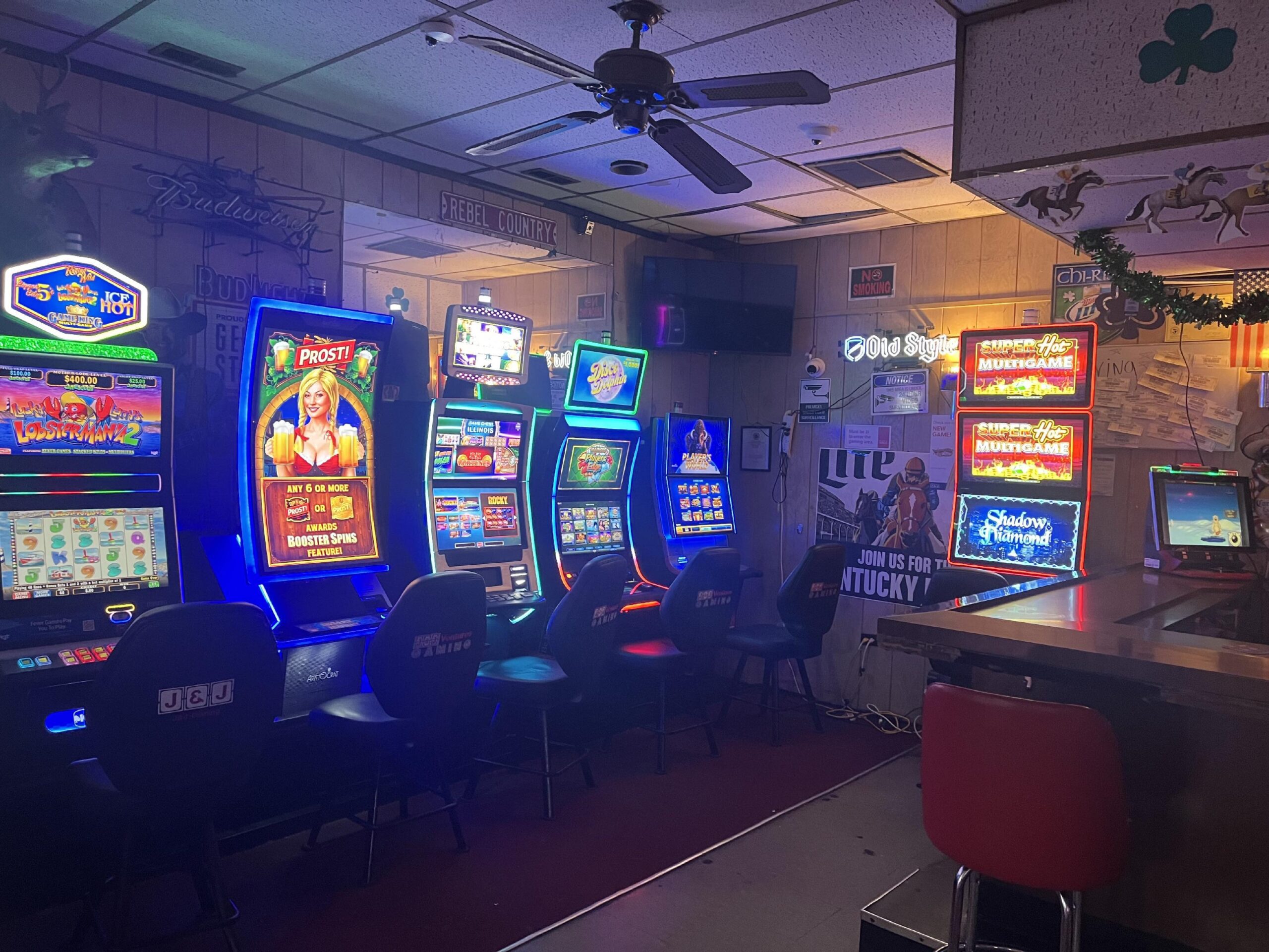 Video Gaming in Palatine, IL