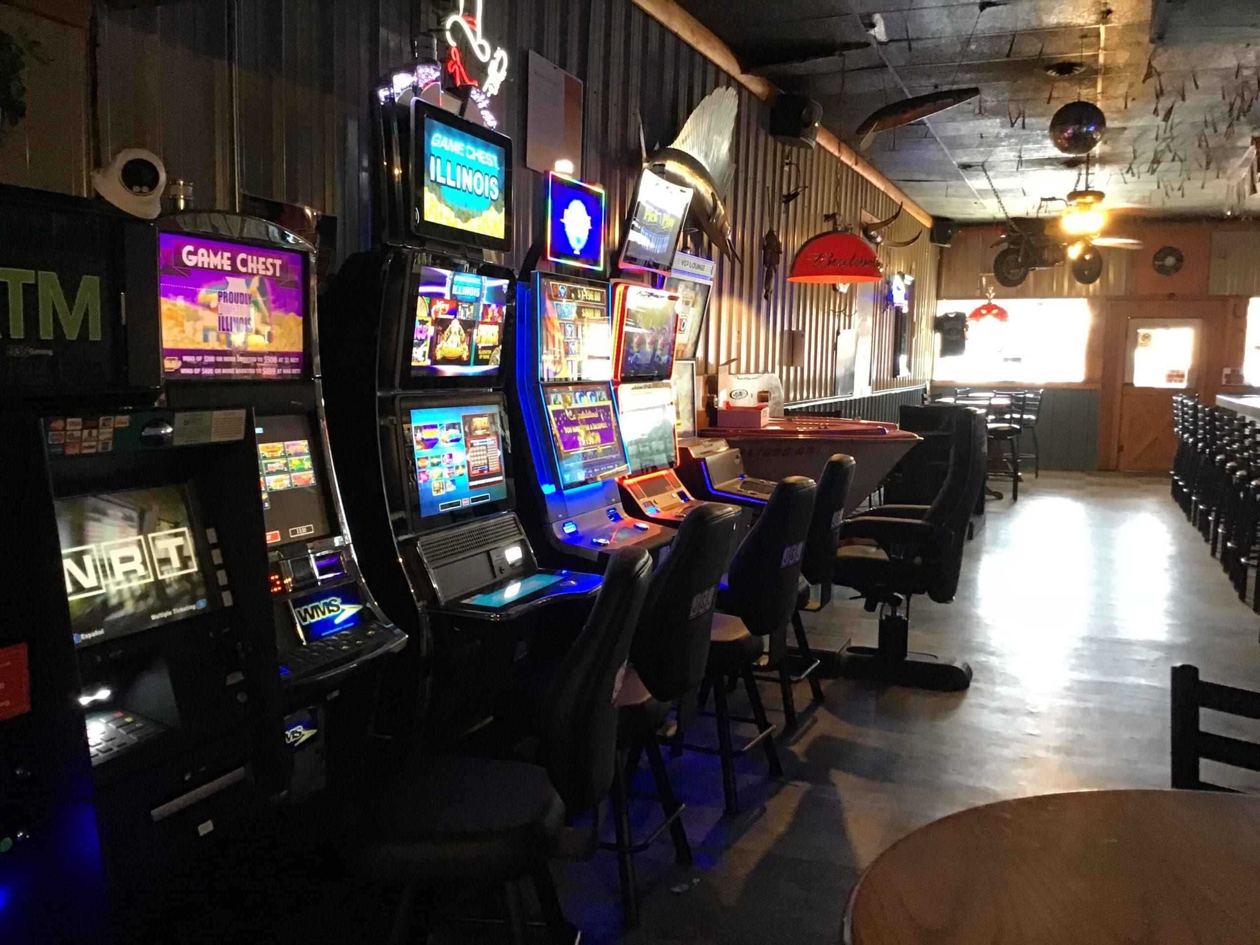 Video Gaming in Palestine, IL